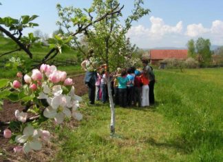 Tündérkertek hazája lehet a magyar vidék