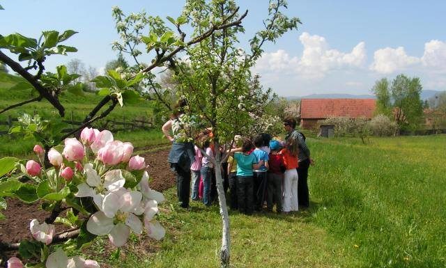 Tündérkertek hazája lehet a magyar vidék