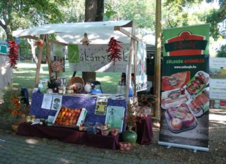 „Minden, ami Csongrád megye – Minden, ami Homokhátság”