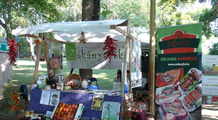 „Minden, ami Csongrád megye – Minden, ami Homokhátság”