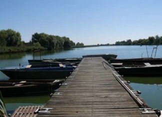 Élet a röszkei Holt-Tiszán