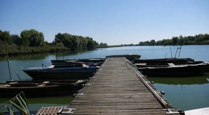 Élet a röszkei Holt-Tiszán