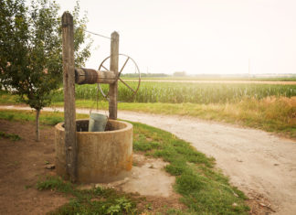 Mórahalmi Járási Hivatal Tájékoztatója