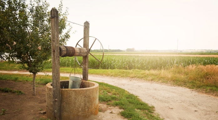 Mórahalmi Járási Hivatal Tájékoztatója