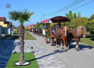 Sikeresen zajlott a lovas felvonulás és mulatság Domaszéken