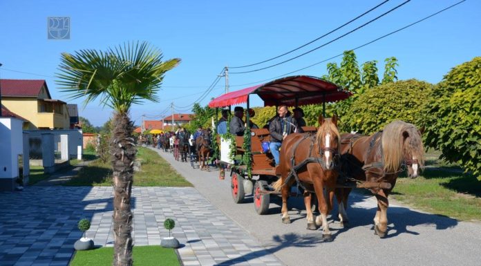 Sikeresen zajlott a lovas felvonulás és mulatság Domaszéken
