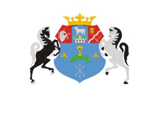 Helyettes szülői hálózat szervezése Öttömösön