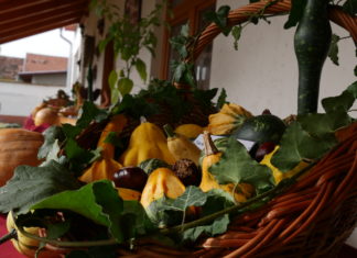 Őszi délelőtt az üllési Alkotóházban