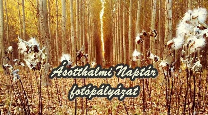 Megtekinthetők a Csodálatos Ásotthalom pályázatra érkezett fotók