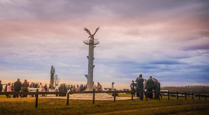 A Délvidéki Magyar Népirtás ártatlan áldozataira emlékeztek Ásotthalmon