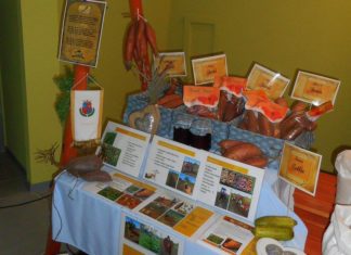 Közfoglalkoztatási kiállítás Ásotthalom