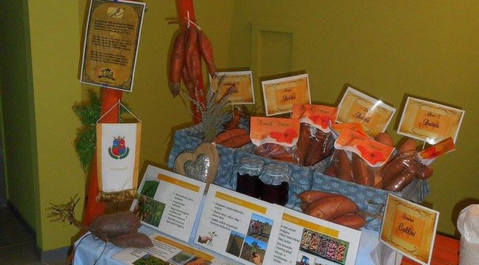 Közfoglalkoztatási kiállítás Ásotthalom