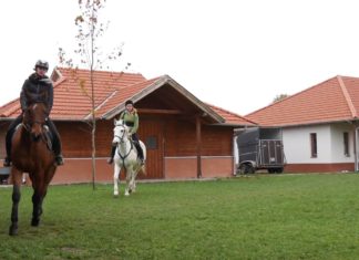 Ismét lehet jelentkezni a lovász képzésre Ásotthalmon és Mórahalmon – VIDEÓK