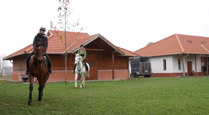 Ismét lehet jelentkezni a lovász képzésre Ásotthalmon és Mórahalmon – VIDEÓK