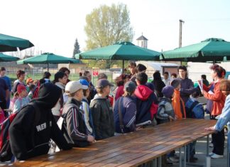 Pályázati lehetőség civil szervezetek részére Üllésen