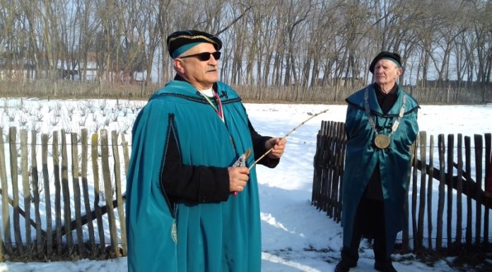 Mórahalmi hegybíró jósolta meg a várható szőlőtermést Ópusztaszeren