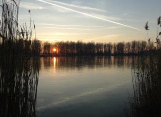 Az üllési horgásztó télen – galéria