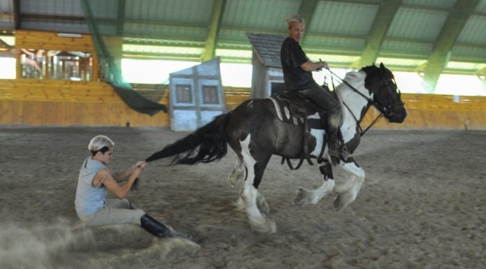 A Nemzeti Lovas Színház ismét tábort szervez Mórahalmon