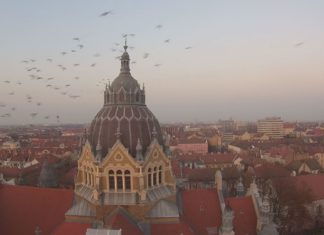 Meg kell érinteni a követ, hogy beszéljen – Paprika Imre, mórahalmi épületszobrász