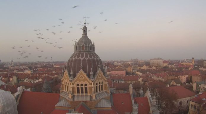 Meg kell érinteni a követ, hogy beszéljen – Paprika Imre, mórahalmi épületszobrász