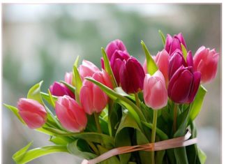 Nőnapi délutánra csalogatnak Röszkén