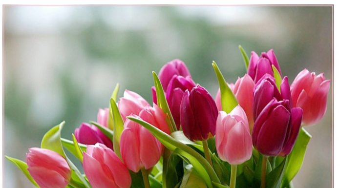 Nőnapi délutánra csalogatnak Röszkén