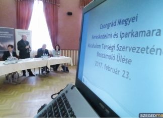 A mórahalmi önkormányzat a helyi cégek vezetőit is homokhátivá tenné