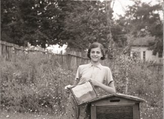 Édes élet Dél-Magyarországon – Új kiállítás nyílik Sándorfalván