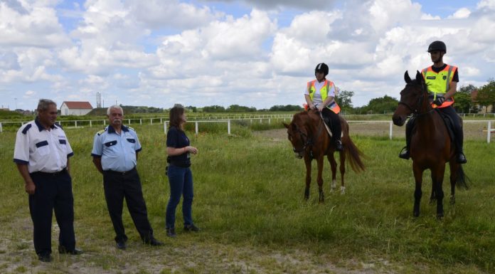 A mórahalmi polgárőrök is értékelték az elmúlt évet