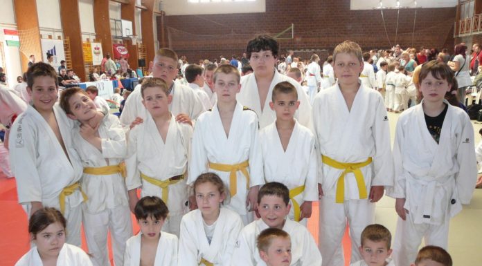 Nemzetközi judo verseny lesz Domaszéken