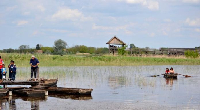 Bivalyos Majális és Piknik Nagyszéksóson – VIDEO