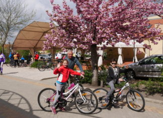 Felfrissülés Mórahalmon-Tavaszi hajtás, kerékpáros teljesítménytúra