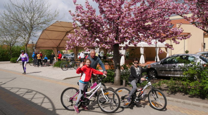 Felfrissülés Mórahalmon-Tavaszi hajtás, kerékpáros teljesítménytúra