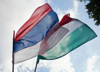 Magyar-Szerb Vállalkozói Fórum Mórahalmon – Jelentkezéshez „katt” ide!