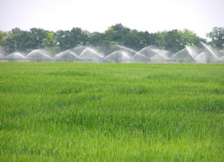B. Nagy László: Fontosabb a nemzeti érdek, mint az EU irányelvei!