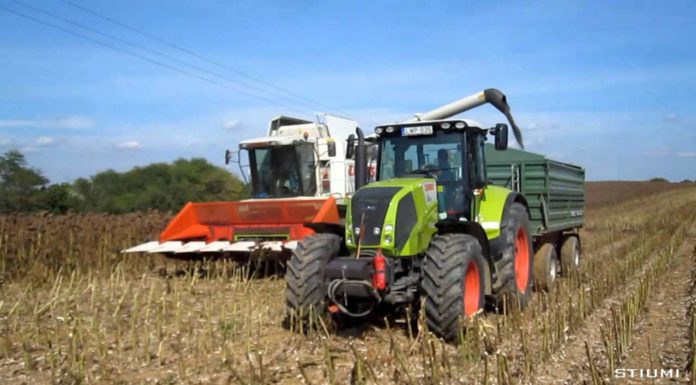 Szikrapróbára hívnak Mórahalmon