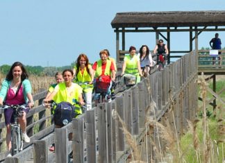 Kerékpáros túrák határon innen és túl júniusban a Móra-Touristtal