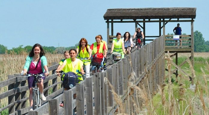 Kerékpáros túrák határon innen és túl júniusban a Móra-Touristtal