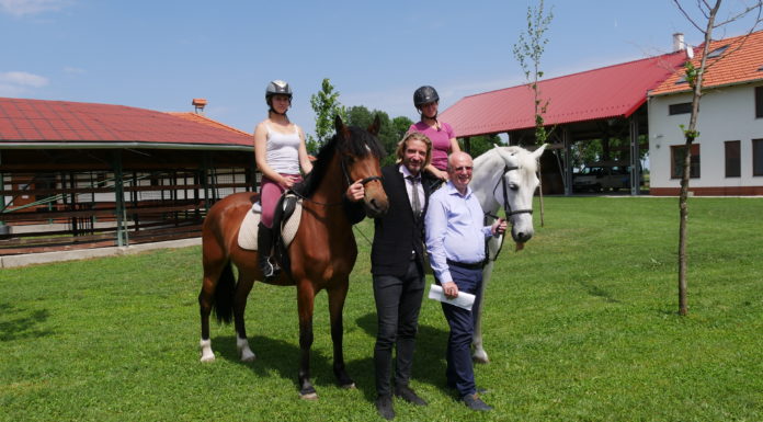 Kezdődik a Mórahalmi Nyár programsorozata