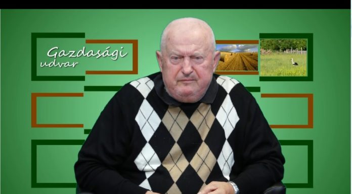 Görög Zoltánra, gazdasági műsorunk házigazdájára emlékezünk