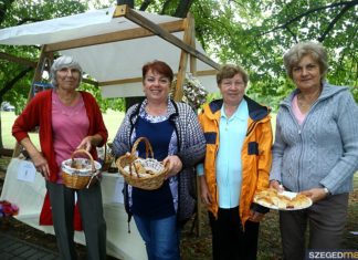 Négy homokháti díjazott a megyei Szent István-napon Ópusztaszeren
