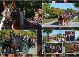 Fogatos felvonulás és szüreti bemutató Domaszéken