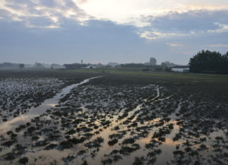 Közös ügye van a 6000 és a 3,3 millió fős városnak: esőcsináló lehet Mórahalom kínai partnere /Délmagyar/