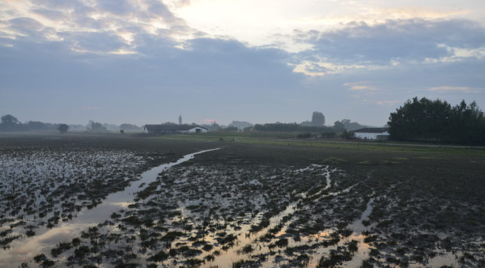 Közös ügye van a 6000 és a 3,3 millió fős városnak: esőcsináló lehet Mórahalom kínai partnere /Délmagyar/