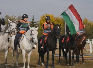 Az Országos Polgárőr Szövetség Lovas Tagozata október 21-én lovas elméleti és gyakorlati képzést tartott Mórahalmon