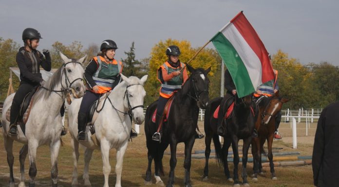 Az Országos Polgárőr Szövetség Lovas Tagozata október 21-én lovas elméleti és gyakorlati képzést tartott Mórahalmon