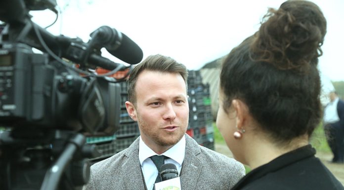 Erős gazdatársadalom, erős állam