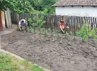 Az ásotthalmi Bedő Albert erdészeti iskola is csatlakozott a „Ments meg egy kertet!” elnevezésű programhoz