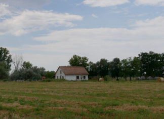 Kihirdették az idei Tanyafejlesztési Program eredményeit – Homokháti nyertesek listája a cikkben!