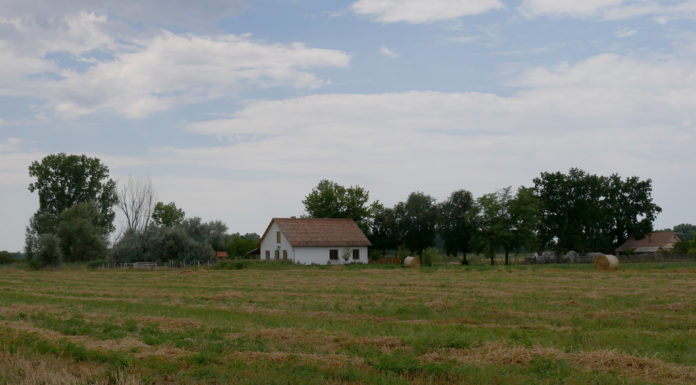 Kihirdették az idei Tanyafejlesztési Program eredményeit – Homokháti nyertesek listája a cikkben!